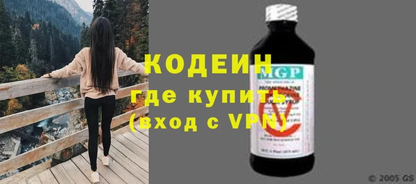 стафф Каменка