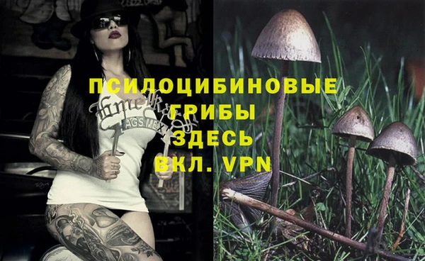 гашиш Касимов