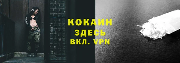 стафф Каменка