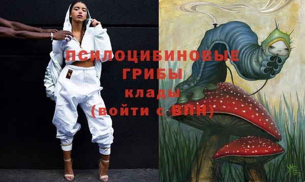 крисы Карпинск