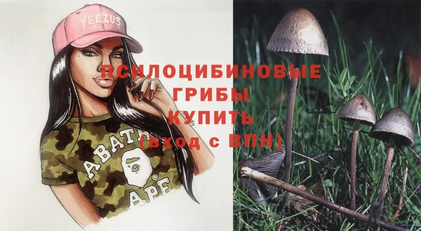 спайс Фурманов