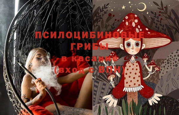 соль ск Каменногорск