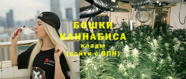 соль ск Каменногорск