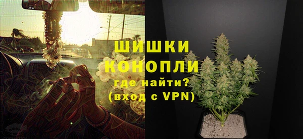 соль ск Каменногорск
