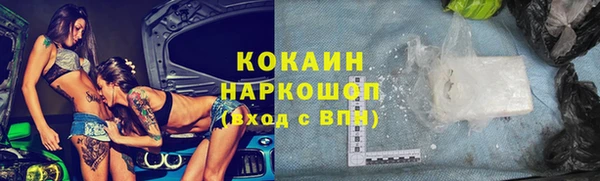 стафф Каменка