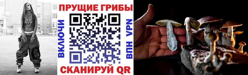 Псилоцибиновые грибы Cubensis Нижняя Салда
