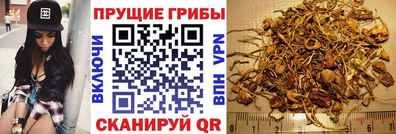 Галлюциногенные грибы Psilocybine cubensis Купить закладки Нижняя Салда